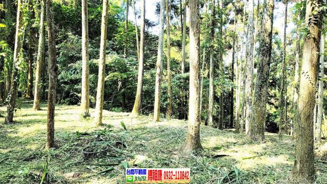 苗栗南庄農舍-4