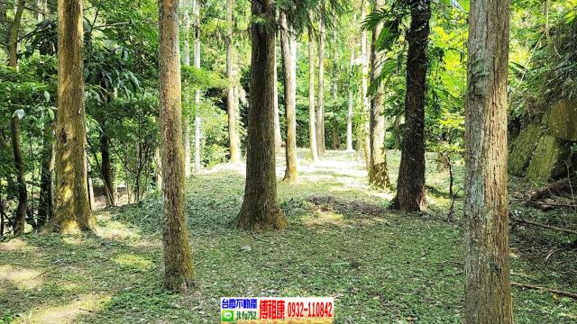 苗栗南庄農舍-5
