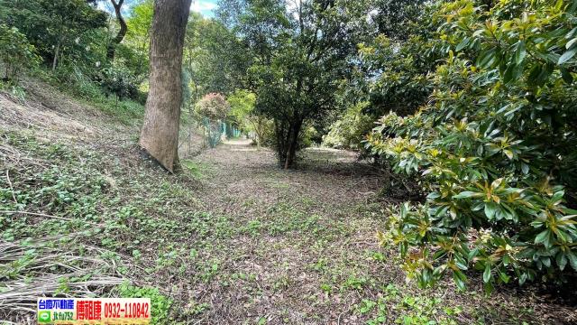 南庄農地-9