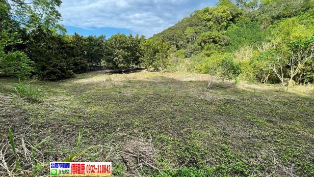 南庄農地-4
