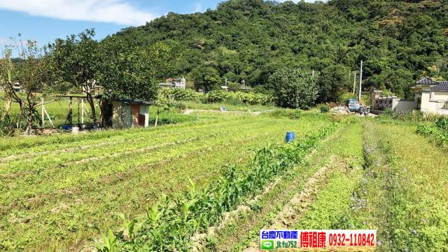 芎林農地-12