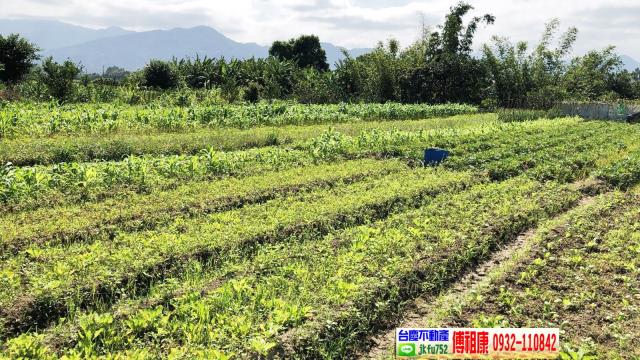 芎林農地-13