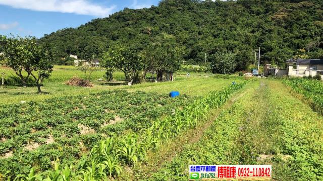 芎林農地-5