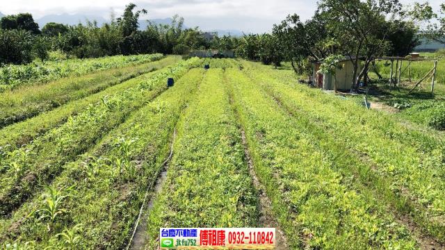 芎林農地-6