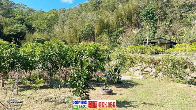 北埔農地-8