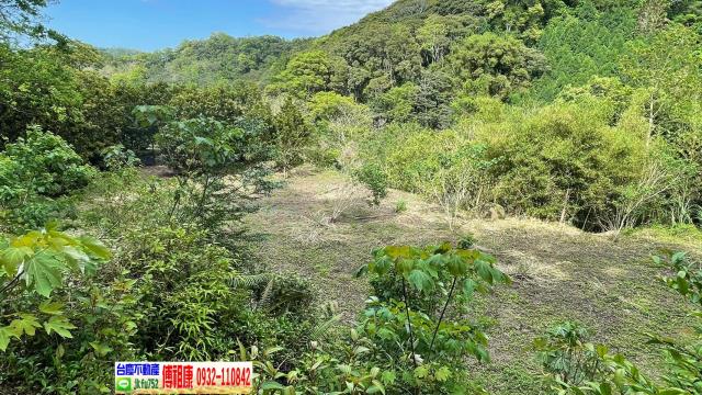 南庄農地-12