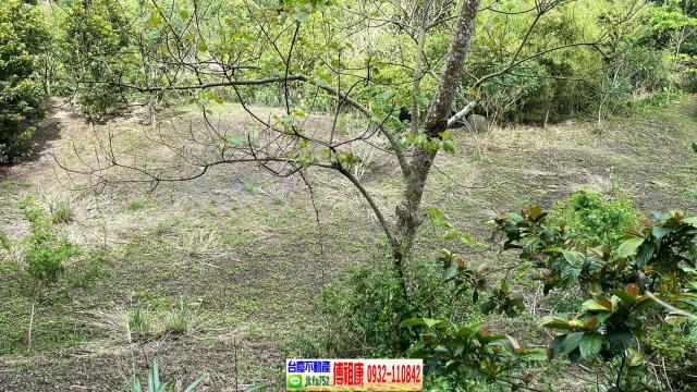 南庄農地-13