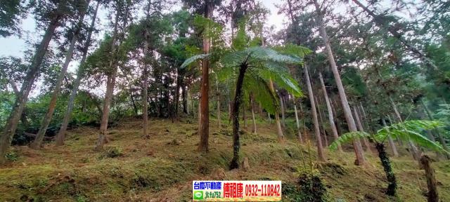 竹東農地-10