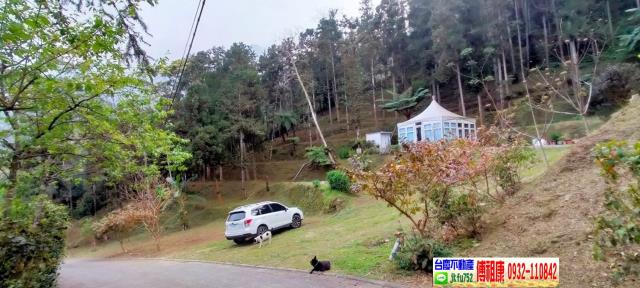 竹東農地-0