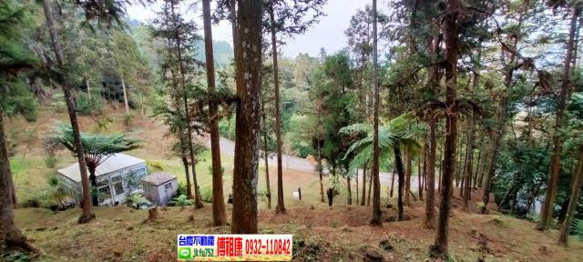 竹東農地-7