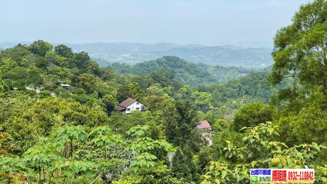 南庄林地-8