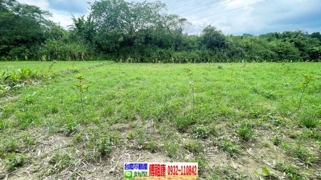 新竹關西農地-9