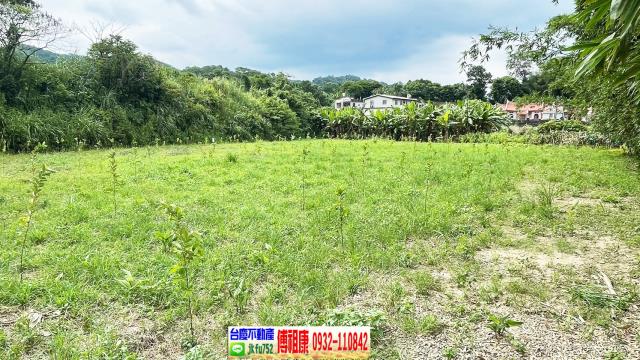 新竹關西農地-1