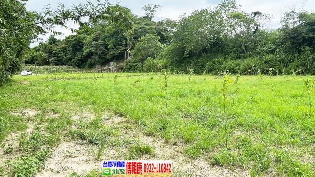 新竹關西農地-4