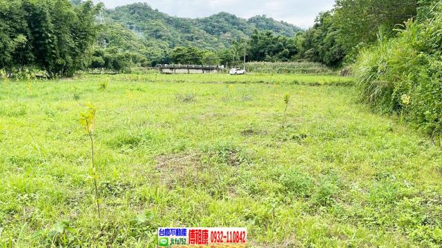 新竹關西農地-6