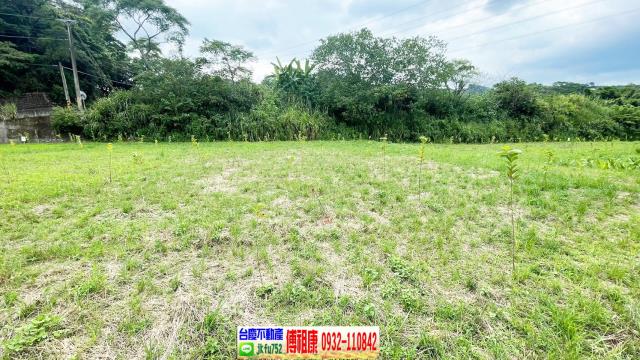 新竹關西農地-8