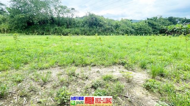 關西農地-10