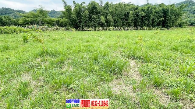 關西農地-11