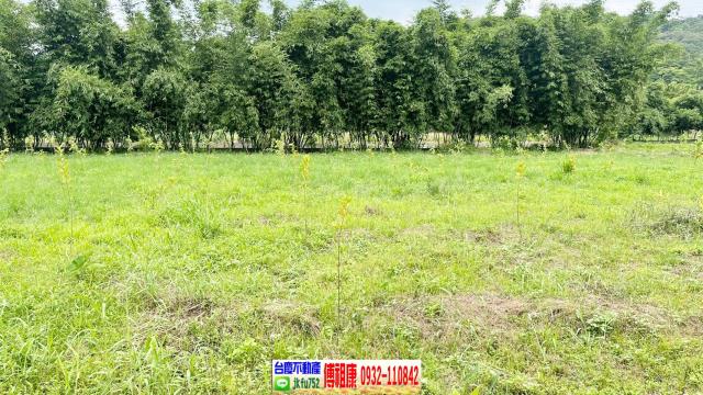 關西農地-12