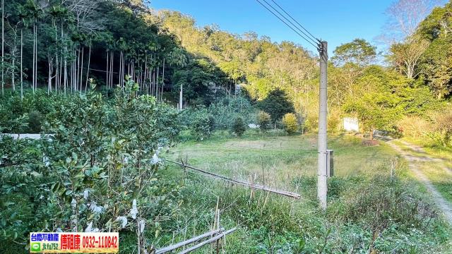 新竹北埔農地-13