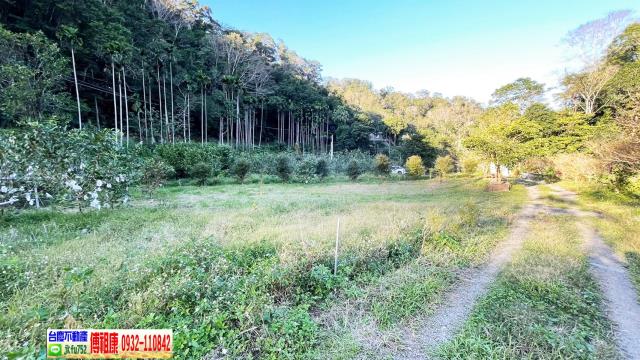 新竹北埔農地-3