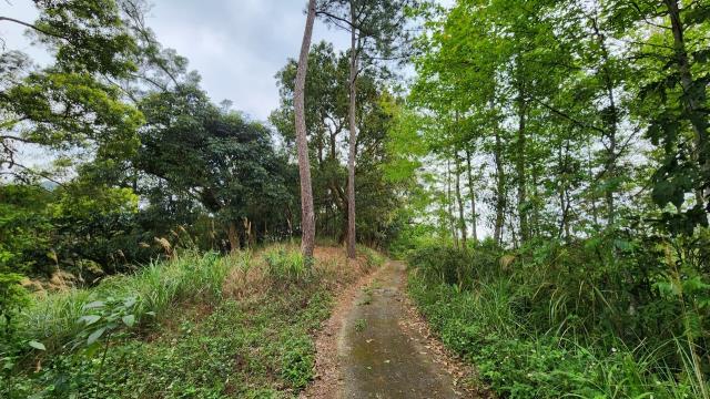 北埔農地-14
