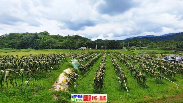 峨眉農地-11