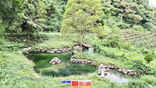 苗栗農地-1