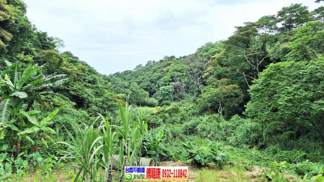 苗栗農地-6