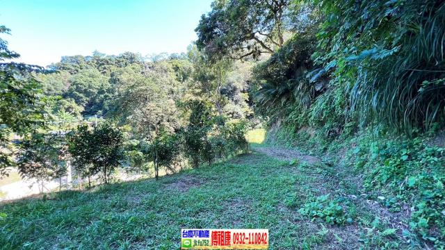 新竹休閒地-3