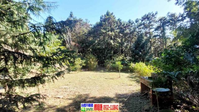 新竹橫山農地-12