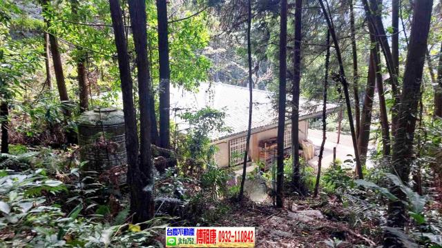 新竹橫山農地-4