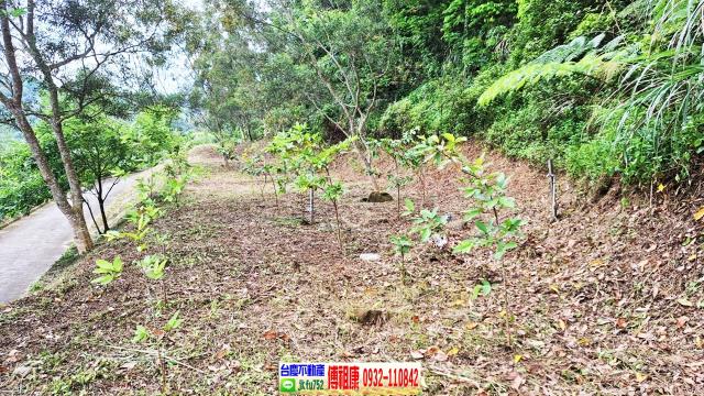 新竹竹東農地-0