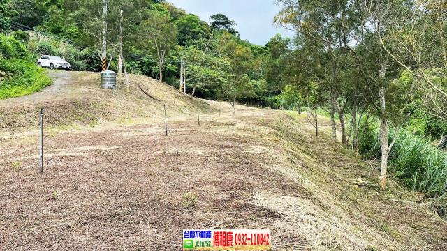 新竹竹東農地-10