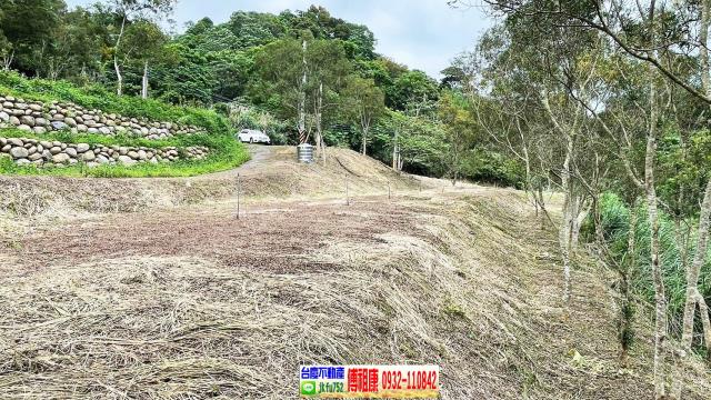 新竹竹東農地-11