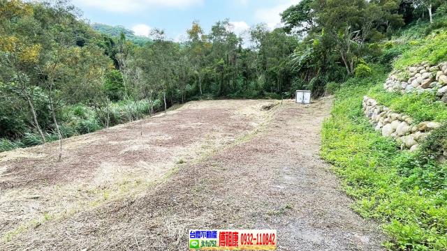 新竹竹東農地-1