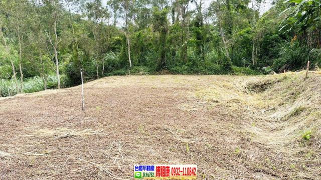 新竹竹東農地-5
