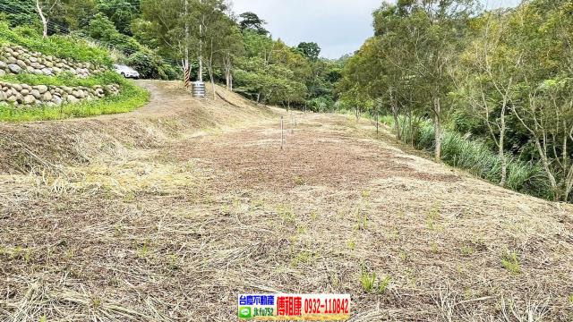 新竹竹東農地-6