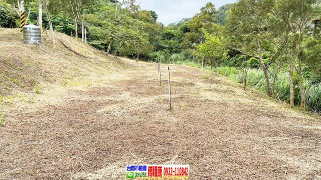 新竹竹東農地-8