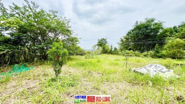 新竹橫山農地-10
