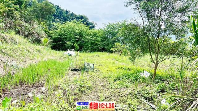 新竹橫山農地-4