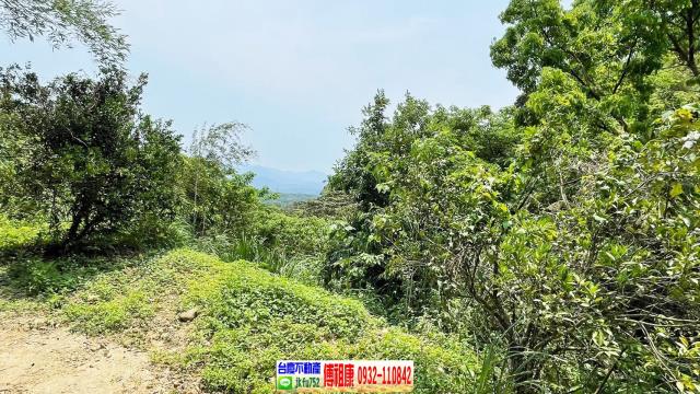 新竹農地-10