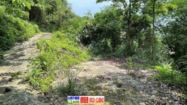 新竹農地-6