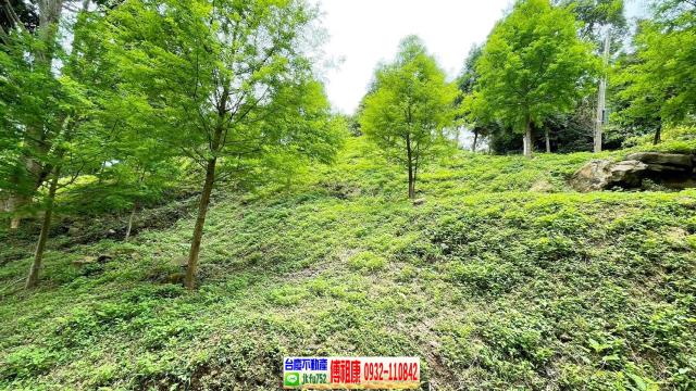 峨眉農地-14