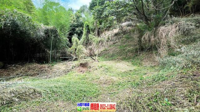 新竹農地-11