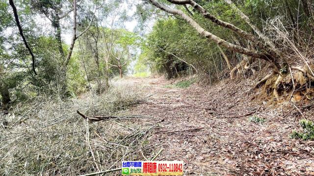 新竹農地-12