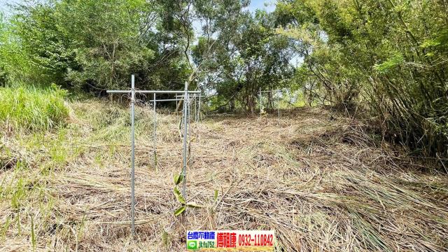 新竹農地-13