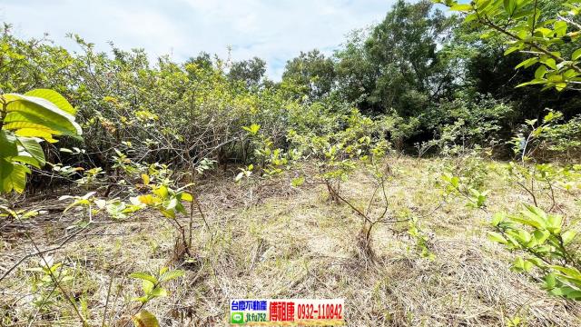 新竹農地-4