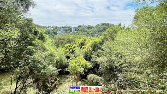 新竹農地-5