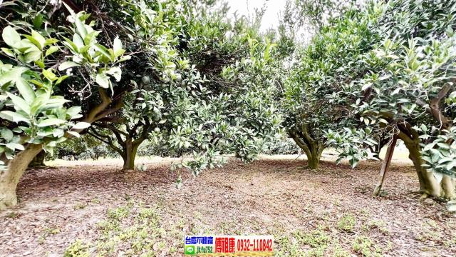 新竹峨眉農地-10